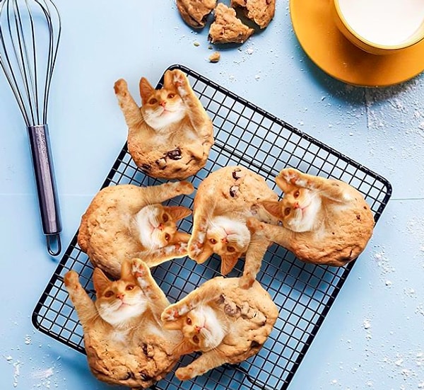 17. И что это вы там устроили?