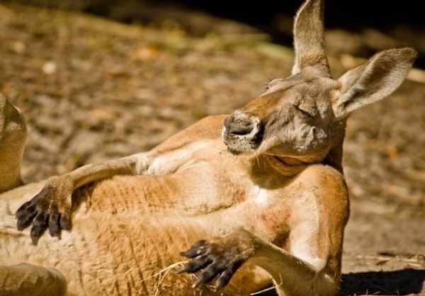 У вас все в полном порядке!