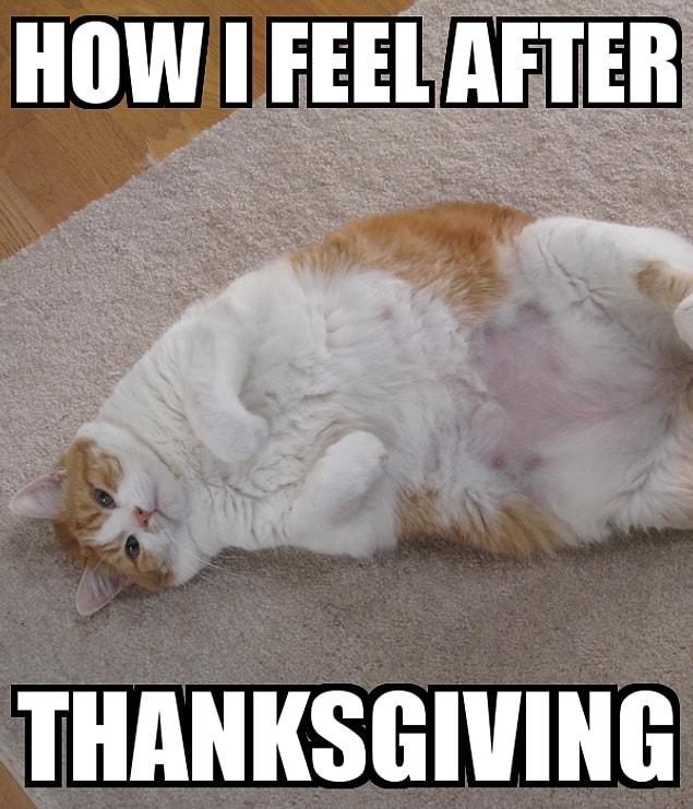 9. The first Thanksgiving meal took 3 days to eat.