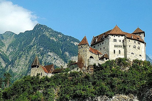 6. В 1866 году Лихтенштейн послал армию, состоящую из 80 людей, для участия в Австро-прусской войне. Домой в целости и невредимости вернулся 81 человек — потому что по дороге они успели завести друга.