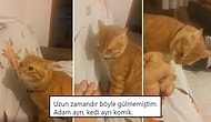 Twitter'ın Mizahşörleri Tarafından Paylaşılmış Geçtiğimiz Haftanın En İyi 27 Videosu