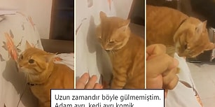 Twitter'ın Mizahşörleri Tarafından Paylaşılmış Geçtiğimiz Haftanın En İyi 27 Videosu