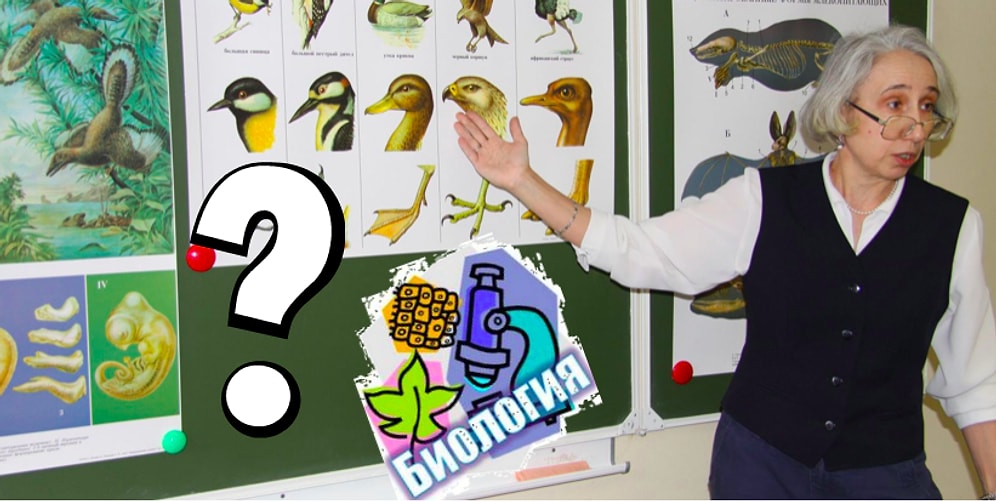 Тест: Вопросы из школьного курса биологии, на которые ответит любой отличник. А вам под силу?