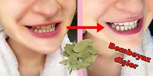 Her Eve Lazım Defne Yaprağının 13 Mucizevi Faydası