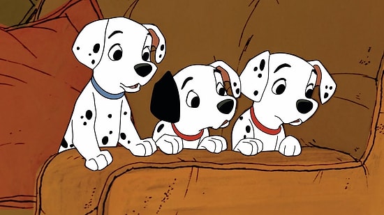 Тест: Каких животных не хватает в названиях этих книг?