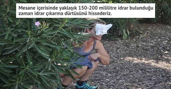 Bu İçeriği Okurken Gelen Çişinizi Tuvalete Boşaltmazsanız Mesanenizin Patlayabileceğini Biliyor muydunuz?