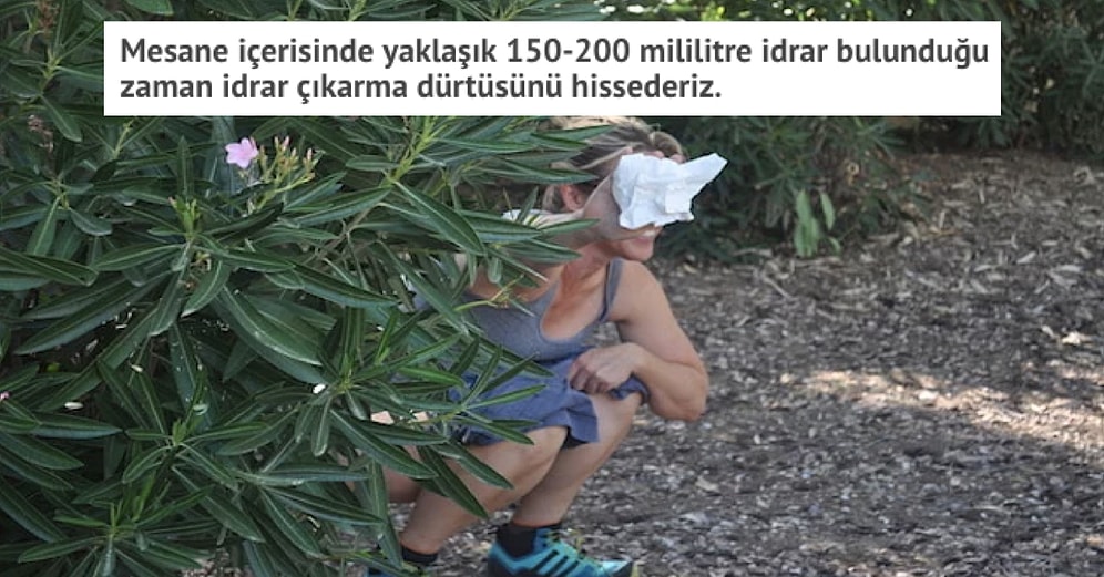 Bu İçeriği Okurken Gelen Çişinizi Tuvalete Boşaltmazsanız Mesanenizin Patlayabileceğini Biliyor muydunuz?