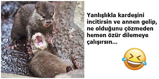 Kardeşi Olan Herkesin En Az Bir Kere Tecrübe Ettiği 17 Yaman Durum