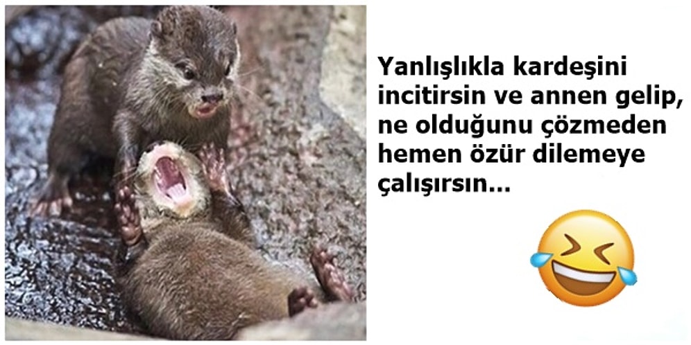 Kardeşi Olan Herkesin En Az Bir Kere Tecrübe Ettiği 17 Yaman Durum