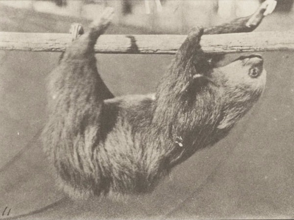 9. Они ленятся и злятся на себя из-за этого