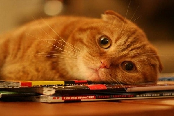 7. В каком настроении вы чаще всего пребываете?