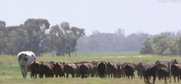 2. Говорите, что всё познается в сравнении? Пожалуйста!