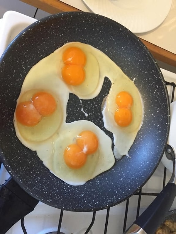 9. Чем кормили куриц с этой фермы???