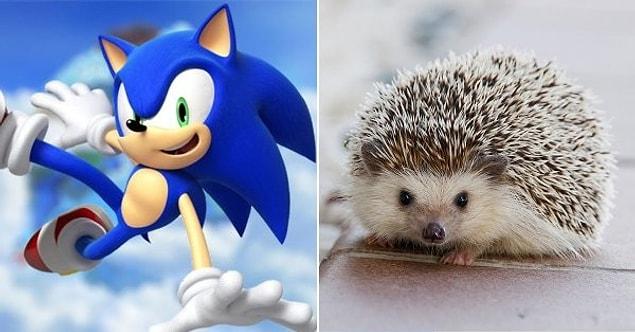 8. Sonic – “Sonic the Hedgehog” / Hedgehog