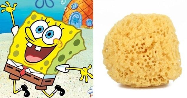 13. SpongeBob SquarePants / Sponge