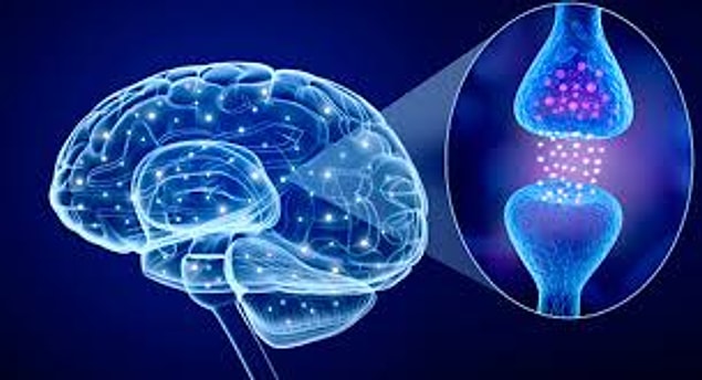 Bir sinir sistemi hastalığı olan Parkinson, binde bir sıklıkla görülür ve tedavisiz iyileşmek imkansızdır. Beynin alt kısımlarındaki gri cevher çekirdeklerinin bozukluğuna bağlı olarak ortaya çıkar.