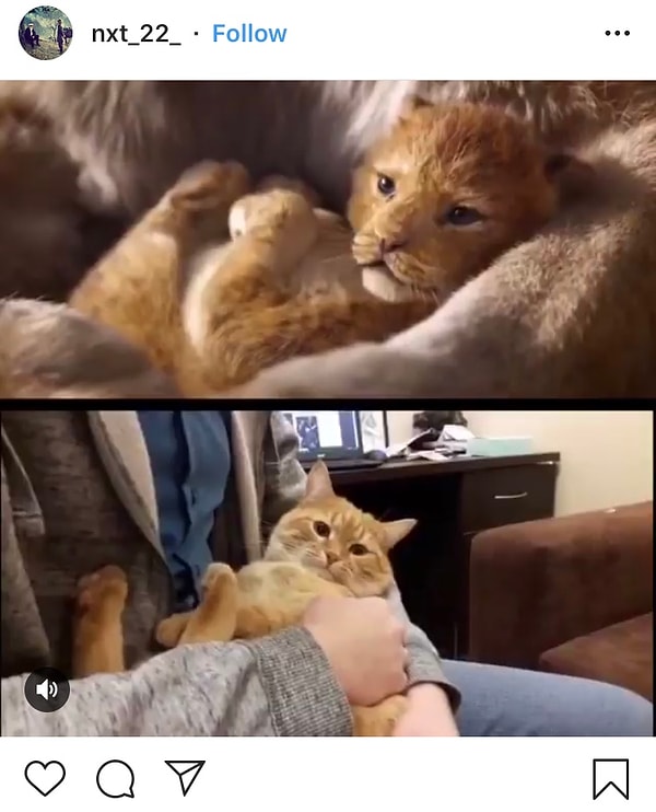 13. Публикуйте свои косплеи под хэштегом #корольлев!