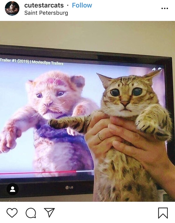 8. «Всё, на что падают лучи солнца, - это наше королевство».