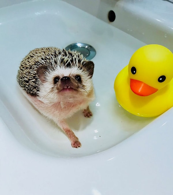 6. Банные процедуры!