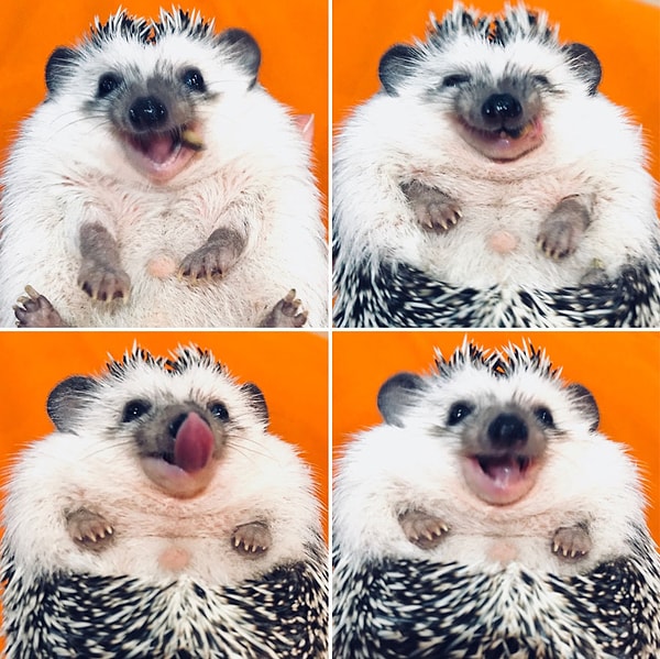 7. Улыбайтесь! Пусть все гадают, что же у вас такое приятное случилось 😁