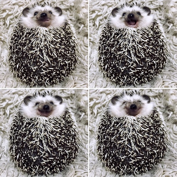 20. Ну гляньте!