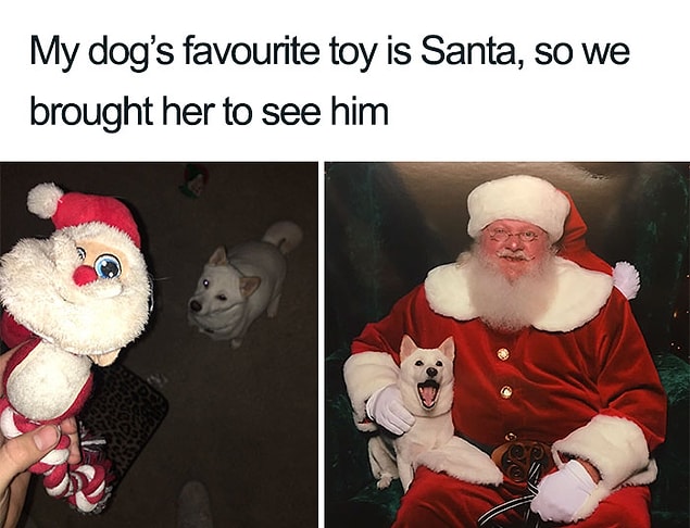 10. Good boi!