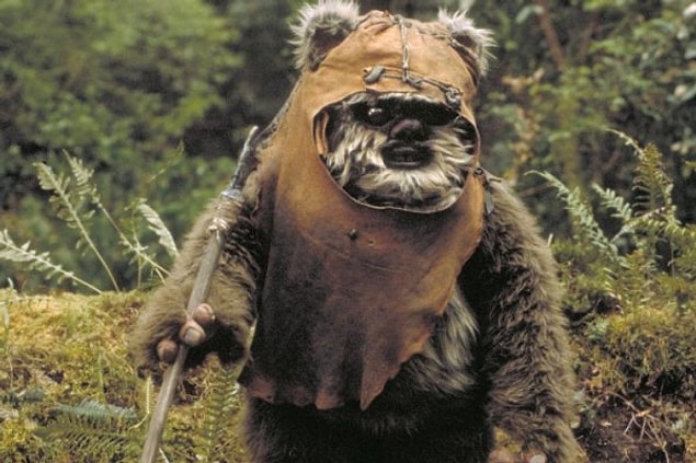 2. Ewokça