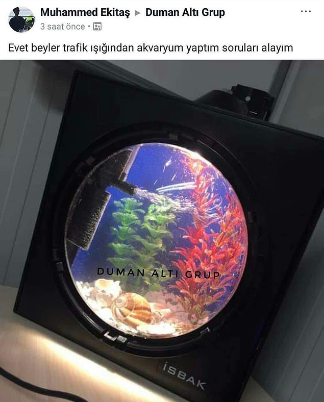 9. Mucit bu çocuk.