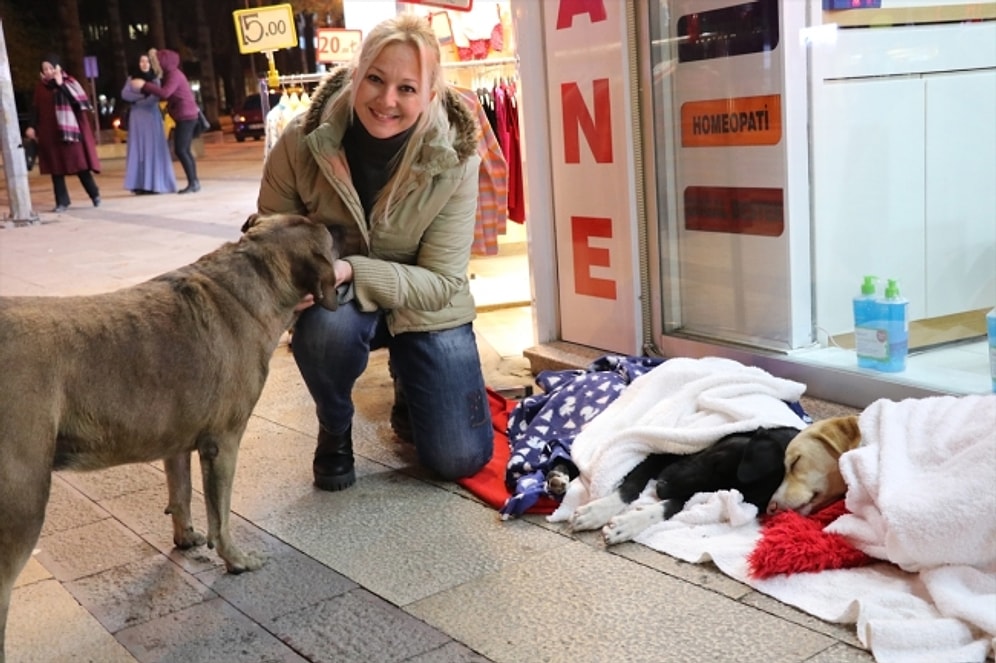 Sokak Hayvanları Üşümesin Diye Dükkanının Önüne Battaniye Serdi!