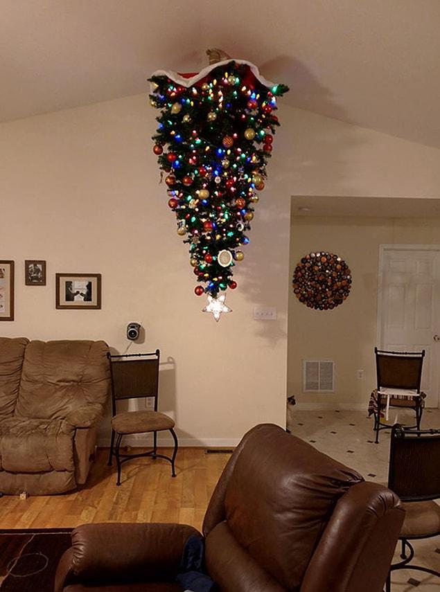 14. "My buddy decided to cat-proof his Xmas tree"