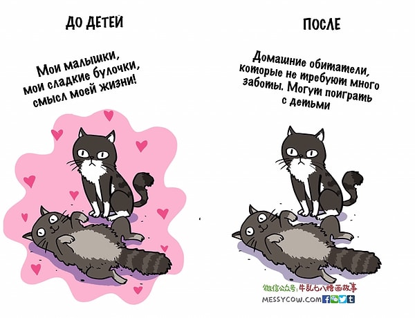 4. Котейки
