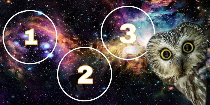 Тест: Удастся ли вам разглядеть замаскированный объект на 10-ти картинках?