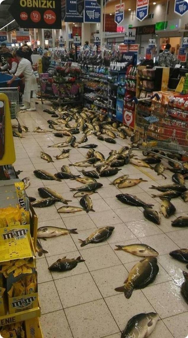 27. There are plenty of fish in the sea... I mean, floor.