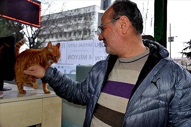 Umut var, hep olacak! Sigarayı bırakınca elinde kalan parayı 6 yıldır sokaktaki canlara harcayan Mehmet Serdar Nuhoğlu da burada!