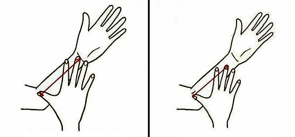 Согните левую руку в локте (приблизительно под углом в 45 градусов) и положите большой палец правой руки на сгиб локтя, затем расправьте ладонь, пытаясь дотянуться средним пальцем до запястья. Средний палец достал до линии запястья? Тогда у вас большие руки! В противном случае — маленькие.