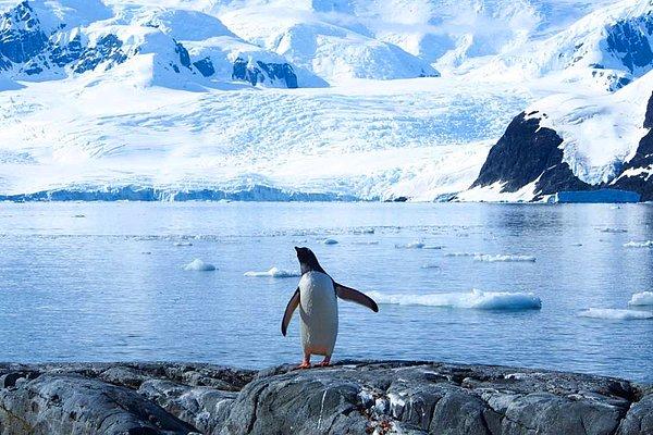 Öte yandan, Antarktika'daki buz nispeten sabit kalacak ve deniz seviyesinin yükselmesinde korkulduğu kadar büyük bir rol oynamayacak.