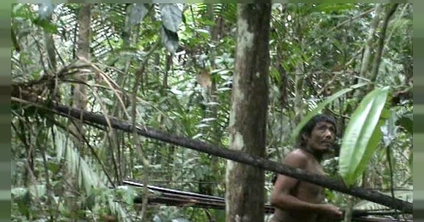 4. В долине Амазонки обитает почти 80 племен, которые не знают, что такое цивилизация. Самое враждебное из них - кавахива, живущее в бразильском штате Мату-Гросу.