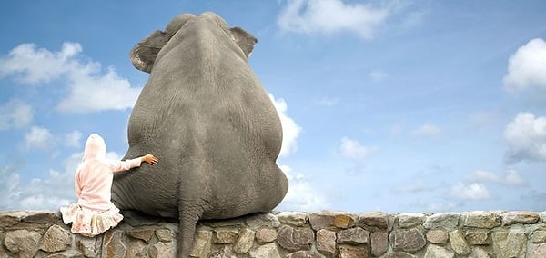 Чтобы сохранить ваши отношения, советуем не делать из мухи слона!