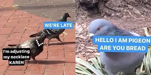 Instagram'ın Hikaye Özelliklerini Kullanarak Mini Öyküler Çeken Adam