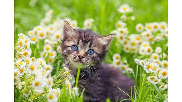 Запомните это фото: