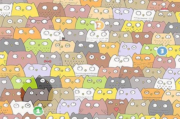 Глянуть ответ 😬