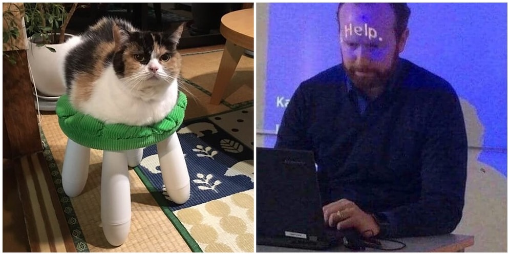 Üzerinde Uzun Süre Uğraşılmış Gibi Gözüken Bu Fotoğraflardaki Mükemmel Zamanlamalara Hayran Kalacaksınız!