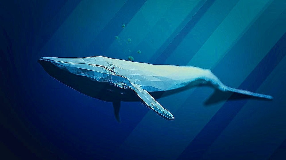 Evinin Bahçesinde İntihar Etti: 16 Yaşındaki Ahmet Kağan'ın Ölümünün Arkasında Mavi Balina mı Var?