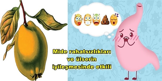 Kış Aylarının Mucizevi Meyvesi Ayvanın Vücuda Sağladığı 12 Fayda