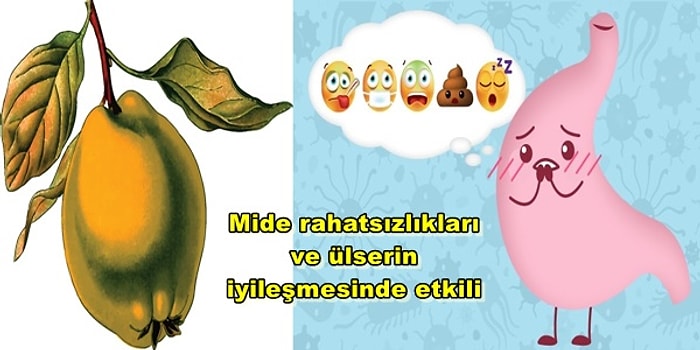 Kış Aylarının Mucizevi Meyvesi Ayvanın Vücuda Sağladığı 12 Fayda