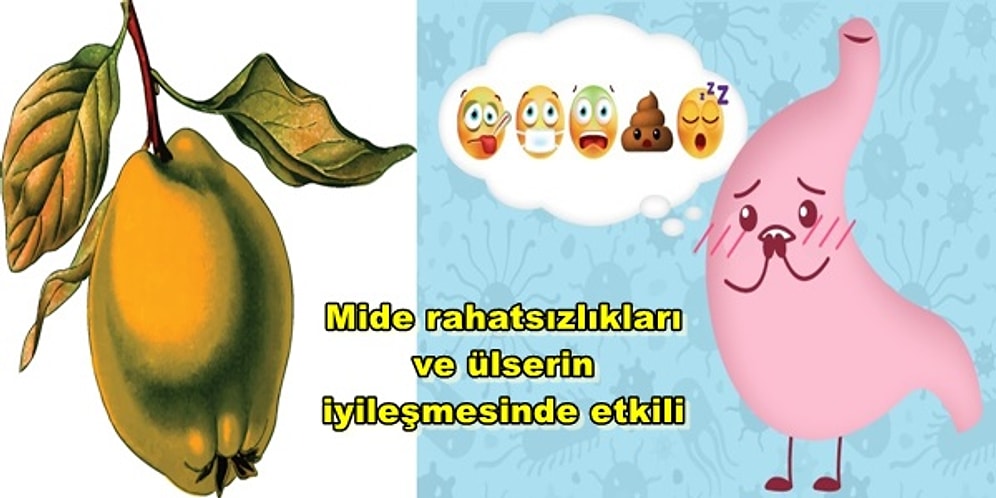 Kış Aylarının Mucizevi Meyvesi Ayvanın Vücuda Sağladığı 12 Fayda