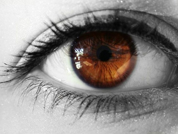 Ваш внутренний глаз коричневого цвета...