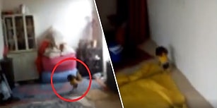 'Ünlülerin Hocası' Olarak Bilinen Salih Memişoğlu, 'Koşan Cin' Görüntüsü Paylaştı!