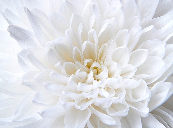 Вы уравновешенный человек, имеющий свою четкую позицию.