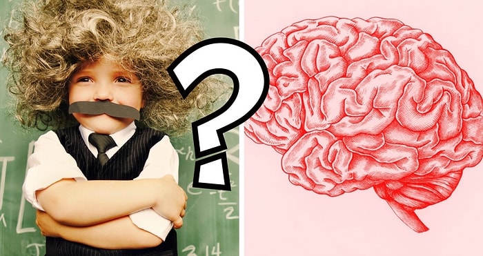 Тест на общие знания, к концу которого выяснится, действительно ли вы эрудит или только хвастаетесь